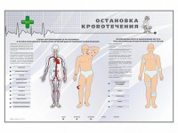 Электрифицированный стенд "Остановка кровотечения" - fgospostavki.ru - Норильск