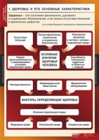 Комплект таблиц. ОБЖ. Здоровый образ жизни. - fgospostavki.ru - Норильск