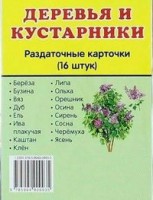 Раздаточные карточки "Деревья и кустарники" - fgospostavki.ru - Норильск