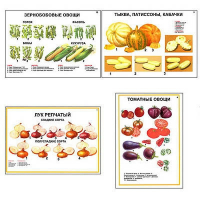 Плакаты ПРОФТЕХ "Ассортимент овощных культур" (12 пл, винил, 70х100) - fgospostavki.ru - Норильск