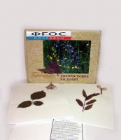 Гербарий "Дикорастущие растения" (28 видов) - fgospostavki.ru - Норильск