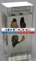 Влажный препарат "Внутреннее строение брюхоногого моллюска" - fgospostavki.ru - Норильск