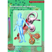 Интерактивные плакаты. Биология человека. Программно-методический комплекс - fgospostavki.ru - Норильск