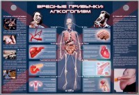 Электрифицированный стенд "Вредные привычки: алкоголизм" - fgospostavki.ru - Норильск