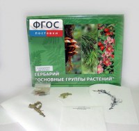 Гербарий "Основные группы растений" (52 листа) - fgospostavki.ru - Норильск