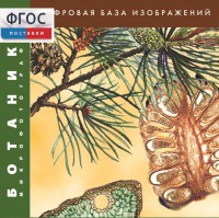 Ботаника. Микрофотографии. (Цифровая база изображений) - fgospostavki.ru - Норильск