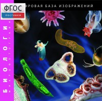 Биология. Микрофотографии. (Цифровая база изображений) - fgospostavki.ru - Норильск