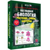 Наглядная биология. 6 класс. Растения. Грибы. Бактерии - fgospostavki.ru - Норильск