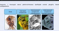 Интерактивные курсы. Биология 5 класс. Расширенный - fgospostavki.ru - Норильск
