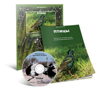 Электронное наглядное пособие «Птицы» - fgospostavki.ru - Норильск