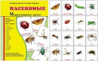 Демонстрационные карточки "Насекомые" - fgospostavki.ru - Норильск