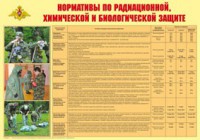 Плакат "Нормативы по радиационной, химической и биологической защите" - fgospostavki.ru - Норильск