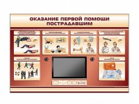 Многофункциональный интерактивный стенд-тренажер "Оказание первой помощи пострадавшим" для учащихся общеобразовательных учреждений - fgospostavki.ru - Норильск