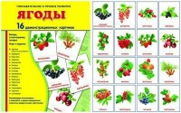 Демонстрационные карточки "Ягоды" - fgospostavki.ru - Норильск