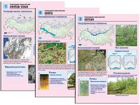 Комплект таблиц по географии "Природные зоны России" раздаточные (цветные, ламинированные, А4, 10 штук) - fgospostavki.ru - Норильск