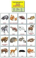 Раздаточные карточки "Дикие животные (1)" - fgospostavki.ru - Норильск