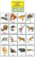 Раздаточные карточки "Дикие животные (2)" - fgospostavki.ru - Норильск