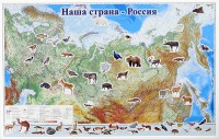 Магнитные карточки "Животные" - fgospostavki.ru - Норильск