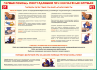Таблица "Порядок действий при внезапной смерти" (100х140 сантиметров, винил) - fgospostavki.ru - Норильск