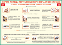 Таблица "Порядок действий при ранениях и термических ожогах" (100х140 сантиметров, винил) - fgospostavki.ru - Норильск