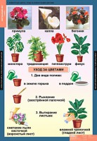 Комплект таблиц. Окружающий мир 1 класс. - fgospostavki.ru - Норильск