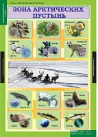 Комплект таблиц. Окружающий мир 4 класс. - fgospostavki.ru - Норильск