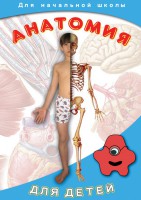 DVD "Анатомия для детей" - fgospostavki.ru - Норильск
