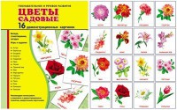 Демонстрационные карточки "Цветы садовые" - fgospostavki.ru - Норильск