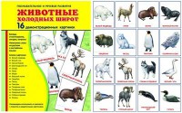 Демонстрационные карточки "Животные холодных широт" - fgospostavki.ru - Норильск