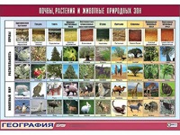 Таблица демонстрационная "Почвы, растения и животные природных зон" (винил 70*100) - fgospostavki.ru - Норильск