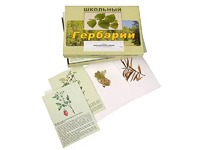 Гербарий "Для начальной школы" (30 видов, с иллюстрациями) - fgospostavki.ru - Норильск