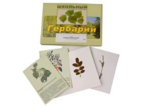 Гербарий "Деревья и кустарники" (22 вида, с иллюстрациями) - fgospostavki.ru - Норильск