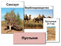 Модель-аппликация "Природные зоны России" (ламинированная) - fgospostavki.ru - Норильск
