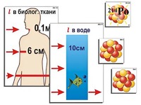 Модель-аппликация "Явление радиоактивности" (ламинированная) - fgospostavki.ru - Норильск