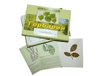 Гербарий "Дикорастущие растения" (30 видов, с иллюстрациями) - fgospostavki.ru - Норильск