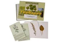 Гербарий "Лекарственные растения" (22 вида с иллюстрациями) - fgospostavki.ru - Норильск
