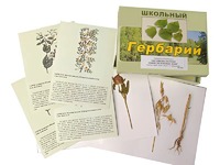 Гербарий "Систематика растений. Семейство Бобовые. Злаки" (раздаточный) - fgospostavki.ru - Норильск
