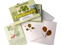 Гербарий "Систематика растений. Семейство Розоцветные" (раздаточный) - fgospostavki.ru - Норильск