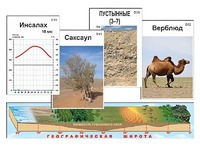 Модель-аппликация "Природные зоны" - fgospostavki.ru - Норильск