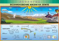 Таблица "Возникновение жизни на земле" (100х140 сантиметров, винил) - fgospostavki.ru - Норильск