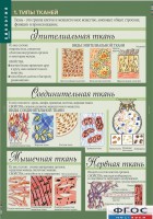 Комплект таблиц. Биология 8-9 класс. Человек. - fgospostavki.ru - Норильск