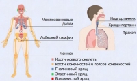 Интерактивные курсы. Биология 9 класс. Базовый. - fgospostavki.ru - Норильск