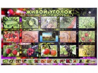 Комплект оборудования "Живой уголок" (растения) с тифлопереводом и сурдокомментариями - fgospostavki.ru - Норильск