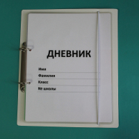 Дневник школьника (с полным набором карточек) - fgospostavki.ru - Норильск