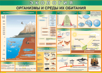 Таблица "Организмы и среды их обитания" (100х140 сантиметров, винил) - fgospostavki.ru - Норильск