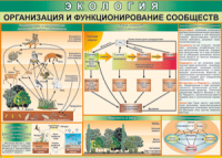 Таблица "Организация и функционирование сообществ" (100х140 сантиметров, винил) - fgospostavki.ru - Норильск