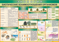 Таблица "Биотические взаимоотношения организмов" (100х140 сантиметров, винил) - fgospostavki.ru - Норильск