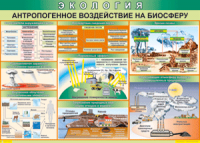 Таблица "Антропогенное воздействие на биосферу" (100х140 сантиметров, винил) - fgospostavki.ru - Норильск