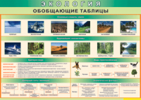 Таблица "Экология. Обобщающие таблицы" (100х140 сантиметров, винил) - fgospostavki.ru - Норильск