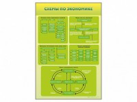 Стенды "Схемы по экономике" - fgospostavki.ru - Норильск